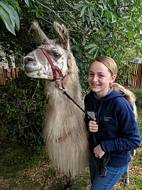 Mary Saunders has completed over 275 hours of service with Lindsay Wildlife Experience.
