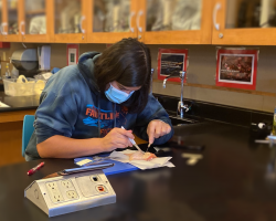 Rolling up her sleeves in preparation, Kendall Brazeel '21 makes her initial incision.