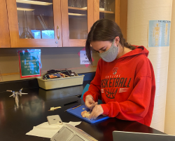 Excited to be working hands-on, Holly Doherty '21 dives in to the dissection.