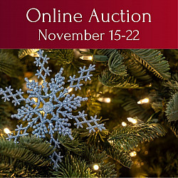 online auction 2026