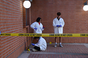 Students looking searching for evidence.
