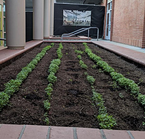 Green Team Garden