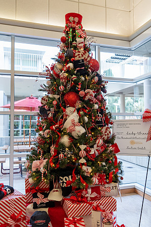 The Gift of Tuition Tree