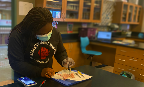 Identifying and labeling the chicken wing, future med student Niala Cole '21 loves learning about...