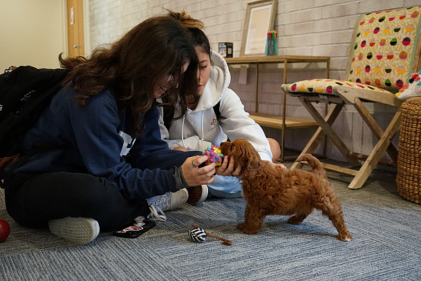 Students play with a therapy puppy