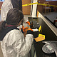 Students look for clues during this collaborative, hands-on forensic science lab.