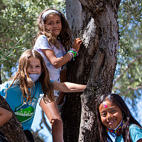 Four campers climb a tree at Camp Carondelet in July 2021.